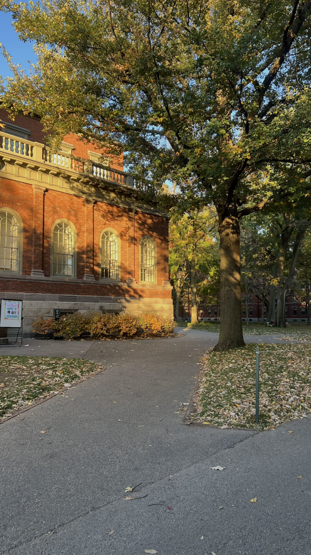 A path in Harvard's yard during the fall with green, yellow, and red leaves on the ground.